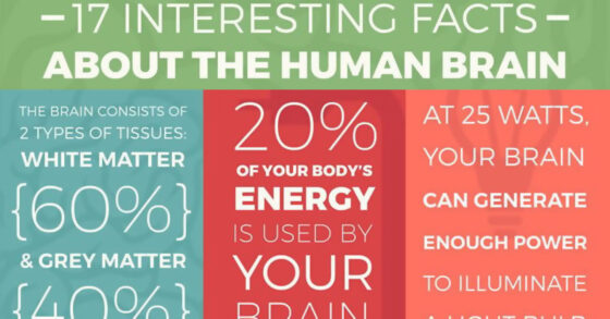 10 Proven Ways to Help Boost Your Mental Energy