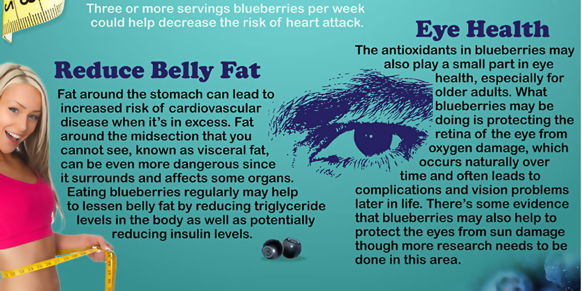 Benefits Of Blueberries Infographic F