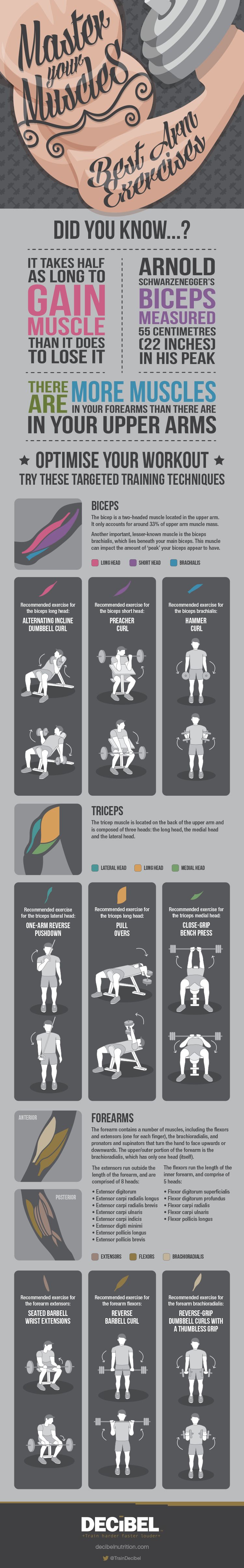 Best Arm Exercises Infographic