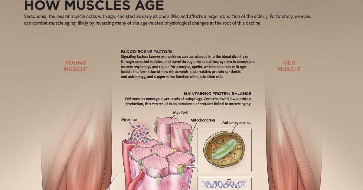 Research Has Found That Exercise Changes DNA Instantly