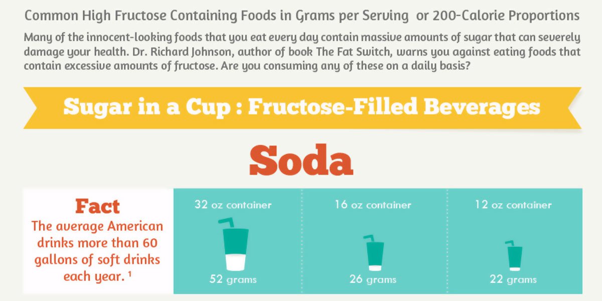 Fructose Overload Infographic F