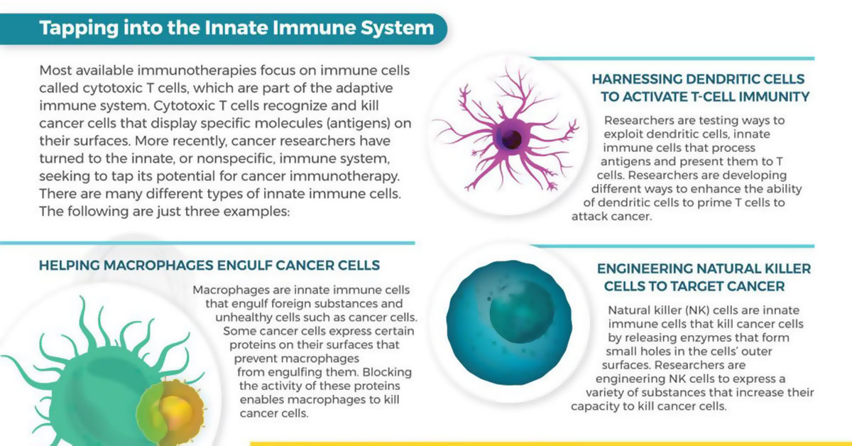 Immune System And Cancer F