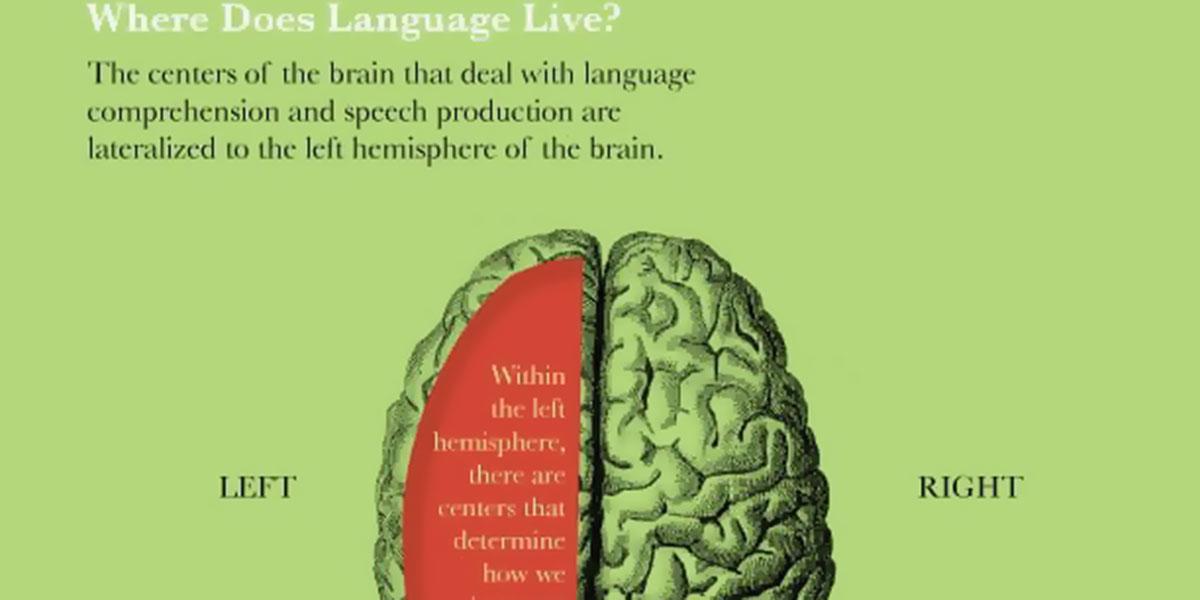 Speaking More Than Two Languages Has a Protective Effect on Memory