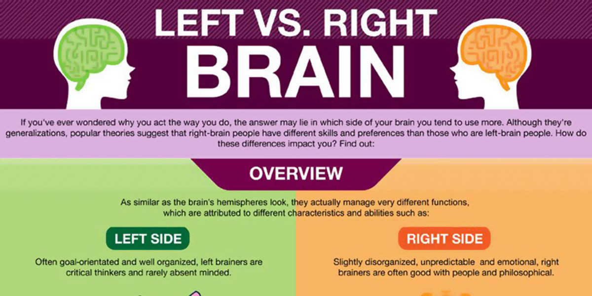 Left Vs Right Brain Infographic F