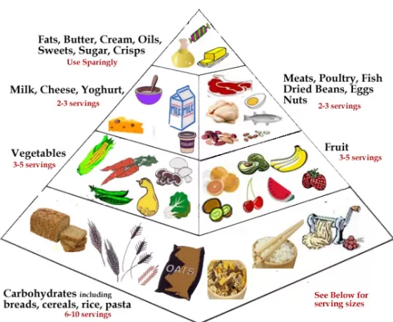 Guidelines on a Healthy Diet Plan