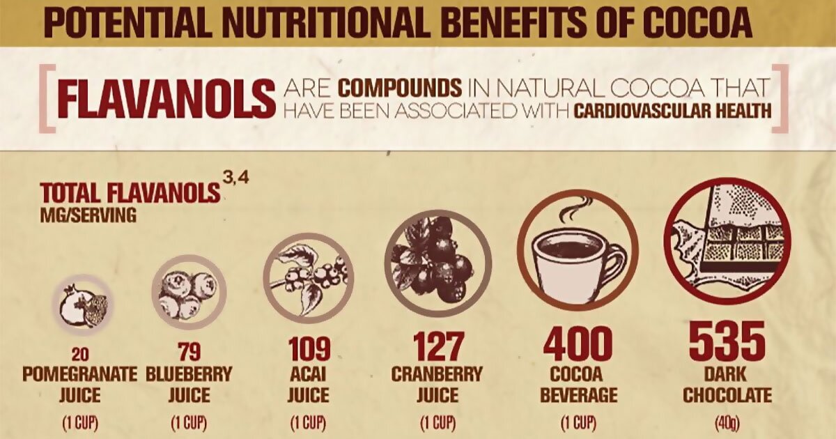 Natural Cocoa And Dark Chocolate Infographic F