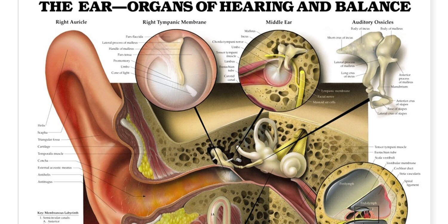 Second hand Smoke Linked To Hearing Loss Cr