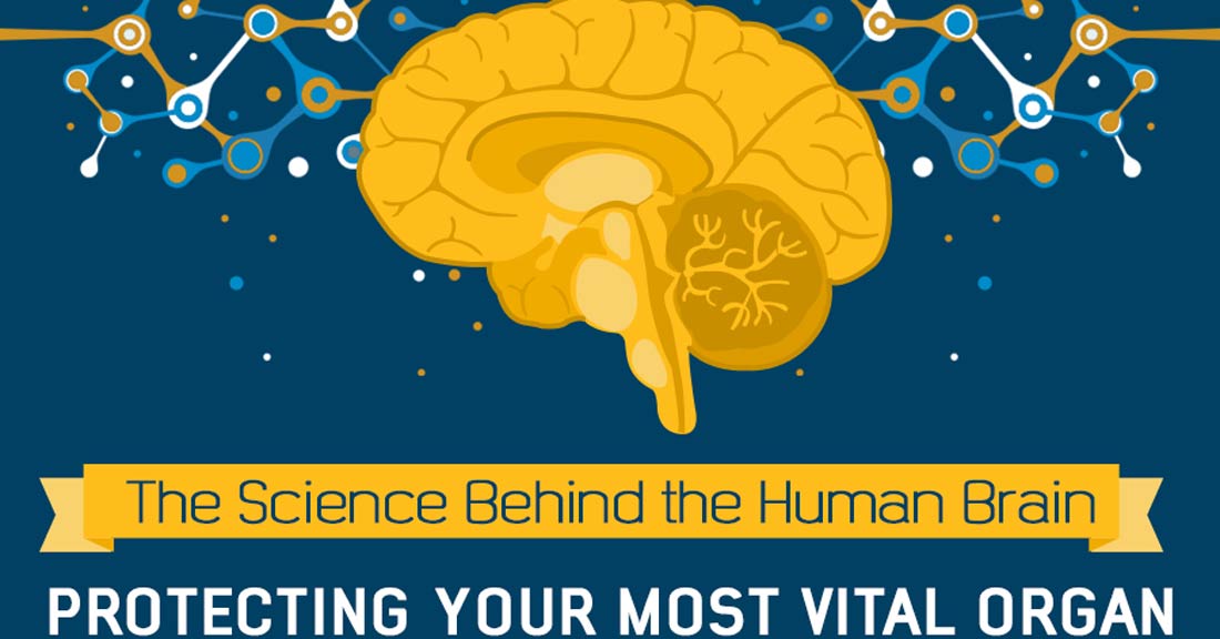The Science Behind the Human Brain