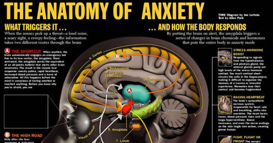 10 Of The Most Common Symptoms Of Anxiety