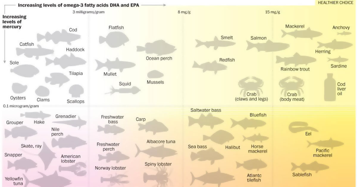 Fish Mercury Infographic3 F