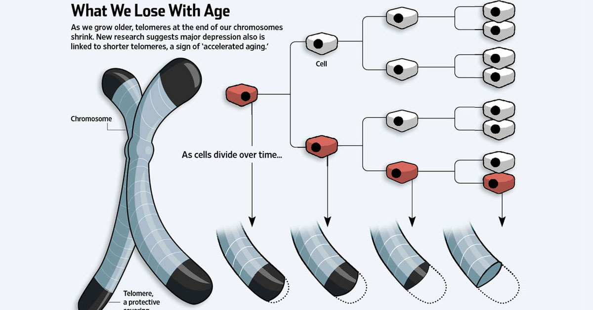 Regular Exercise Proven To Slow the Aging Process