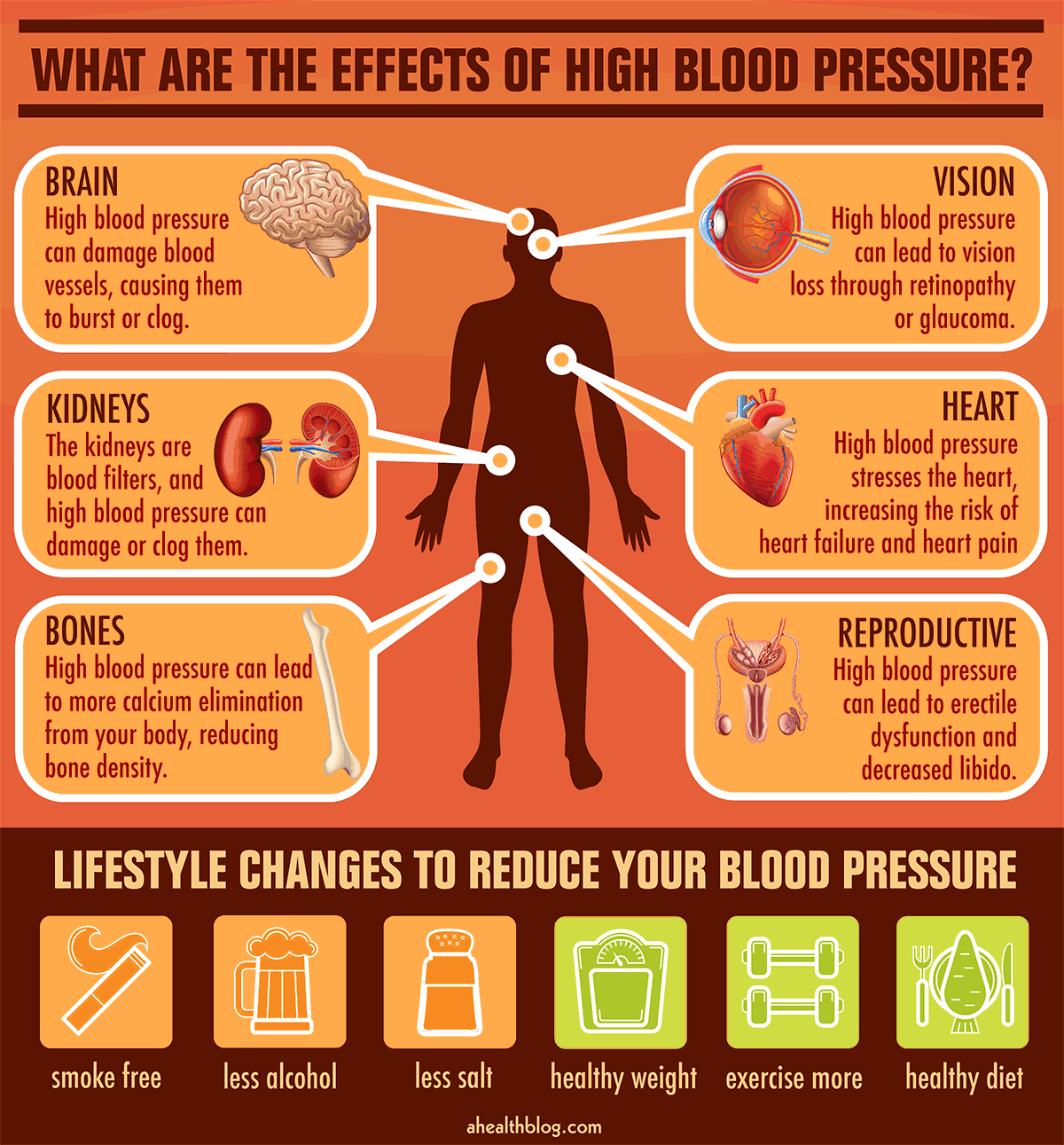 Need For Blood Pressure Meds Can Be Reduced With Lifestyle ...
